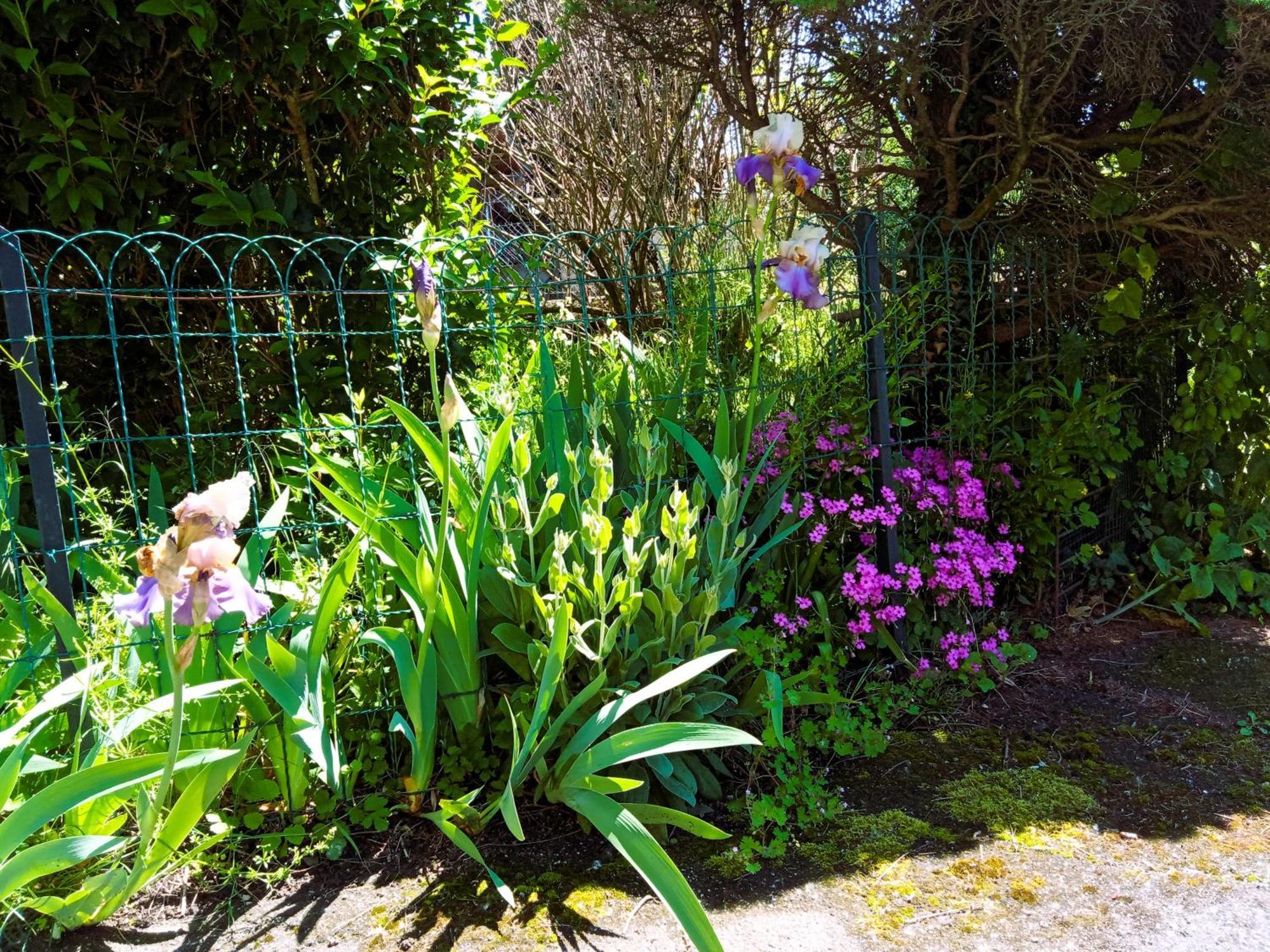 Rosalie Cottage Beaurepaire  Exterior foto